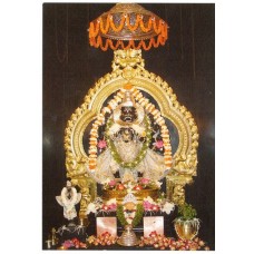 Lord Narashima Deity Photo Lord Narashima Deity Photo